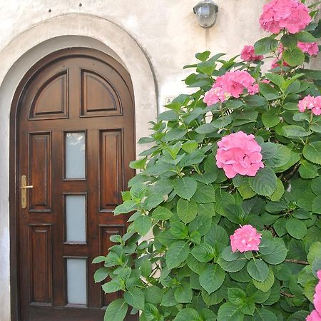 B&B Casa Antonia Trentinara Exterior photo
